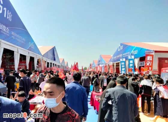 中國豐縣電動車展往屆展會照片